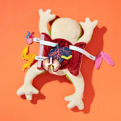 Froggie Dissection Lab Plush