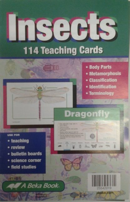 Insects Teaching Cards U