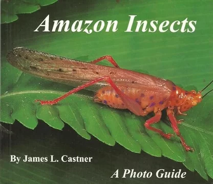 Amazon Insects: A Photo Guide U