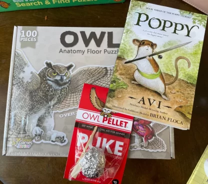 Awesome Owls Bundle