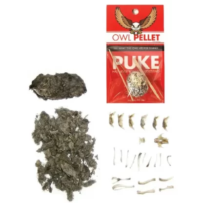 Compact Curiosities: Owl Pellet
