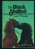 Black Stallion and Flame