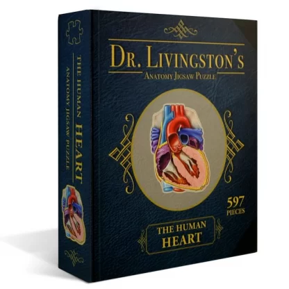 Dr. Livingston's Anatomy: Human Heart 597 PC Puzzle