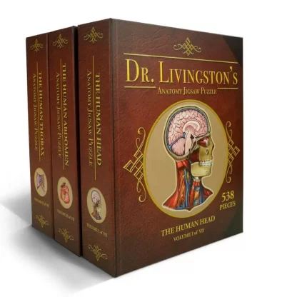 Dr. Livingston's Anatomy: Human Torso 1610 PC Puzzle Bundle