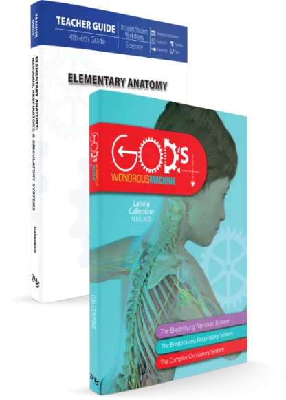 Elementary Anatomy Bundle