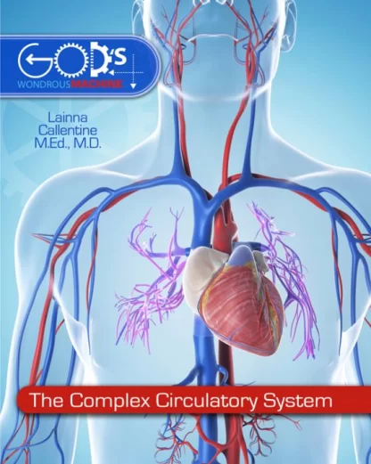 God's Wondrous Machine Circulatory System