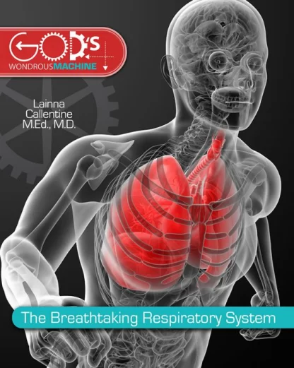 God's Wondrous Machine Respiratory System