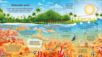 Usborne Look Inside a Coral Reef - Image 2