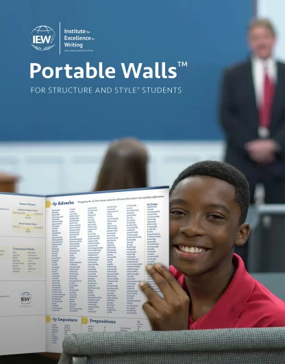 Portable Walls for Structure and Style (2020)