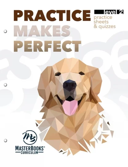 Practice Makes Perfect Level 2