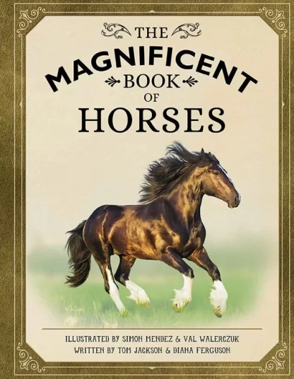 The Magnificent Book of Horses HB